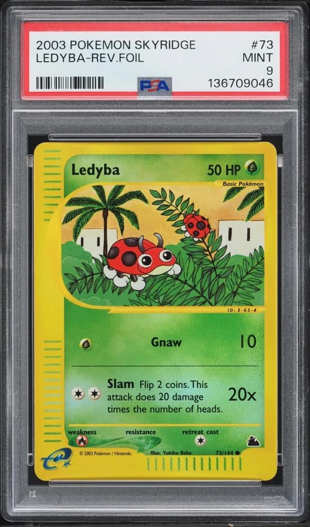 Ledyba