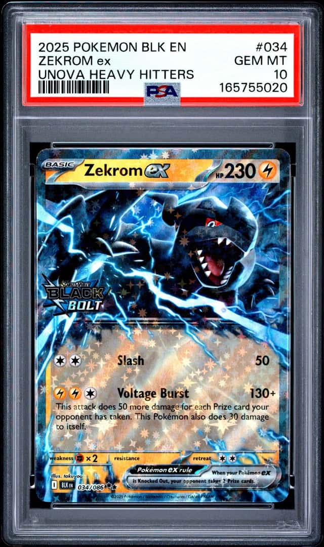 Zekrom EX