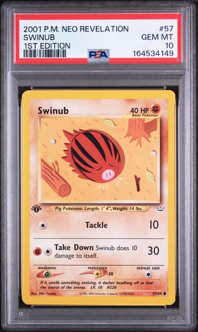 Swinub