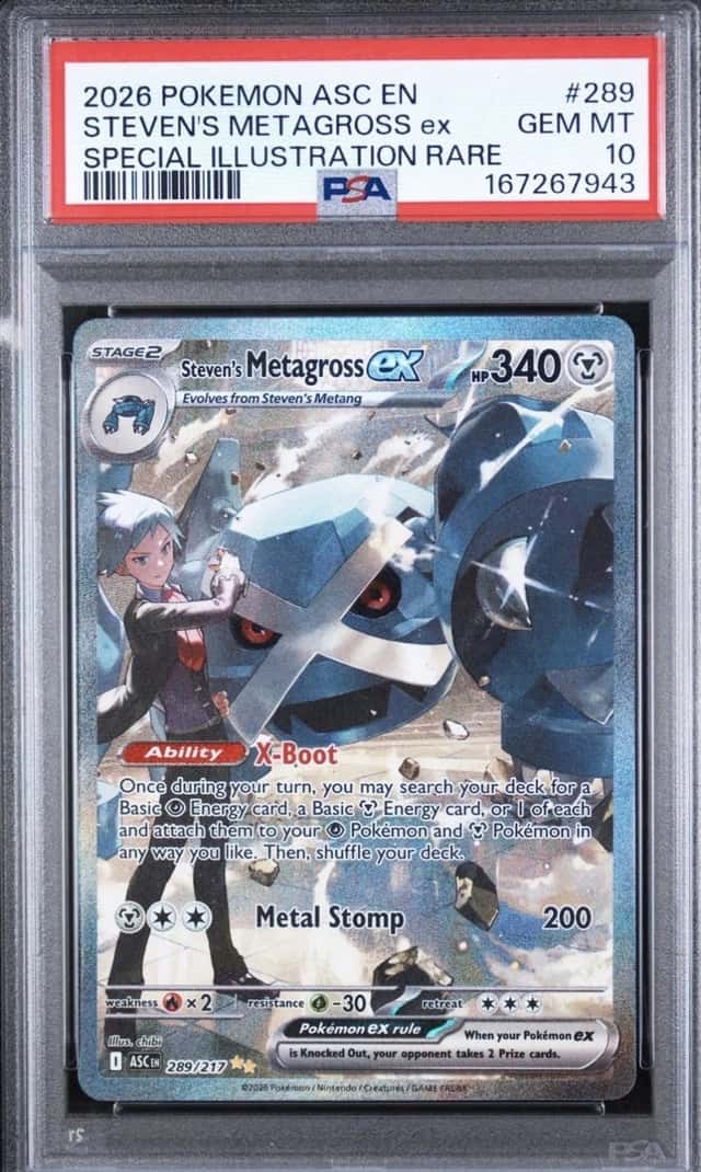 STEVEN'S METAGROSS ex