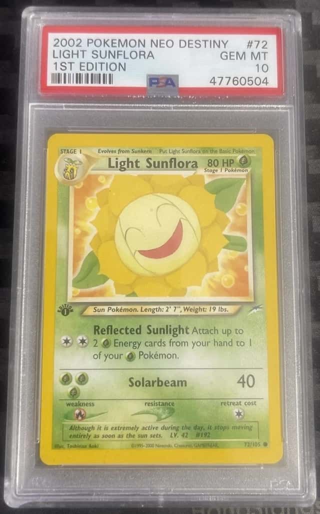 Light Sunflora