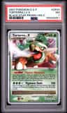 Torterra Lv X