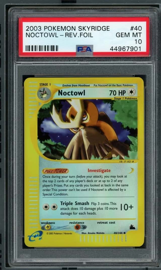 Noctowl