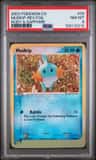 Mudkip
