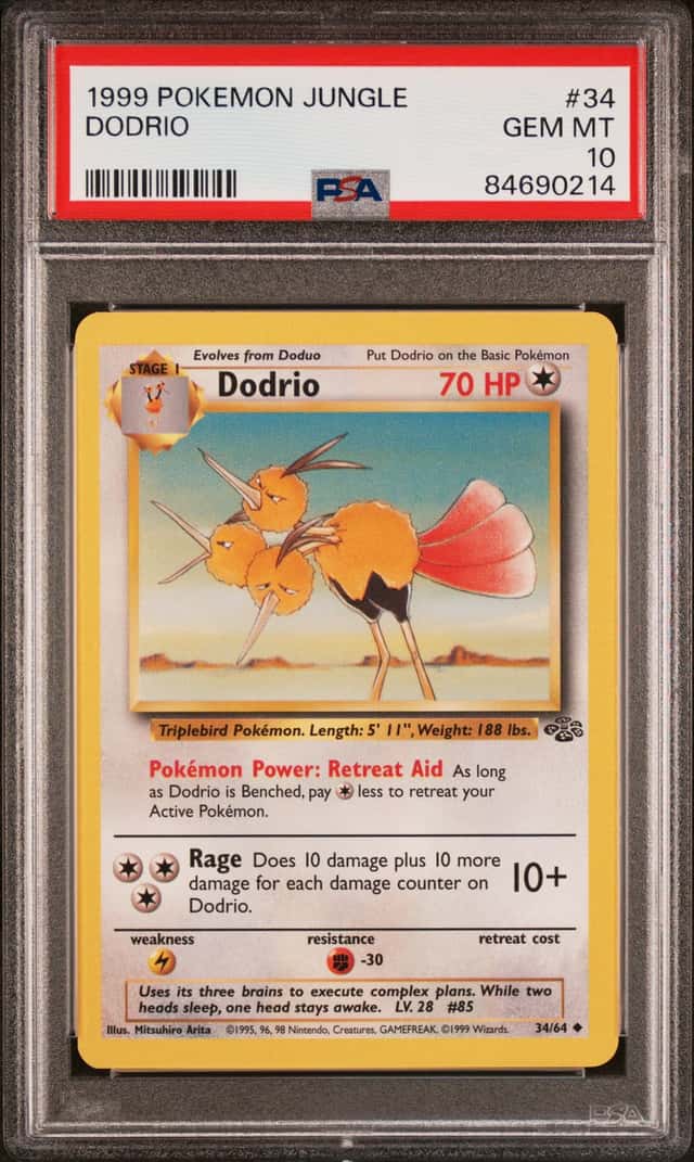Dodrio