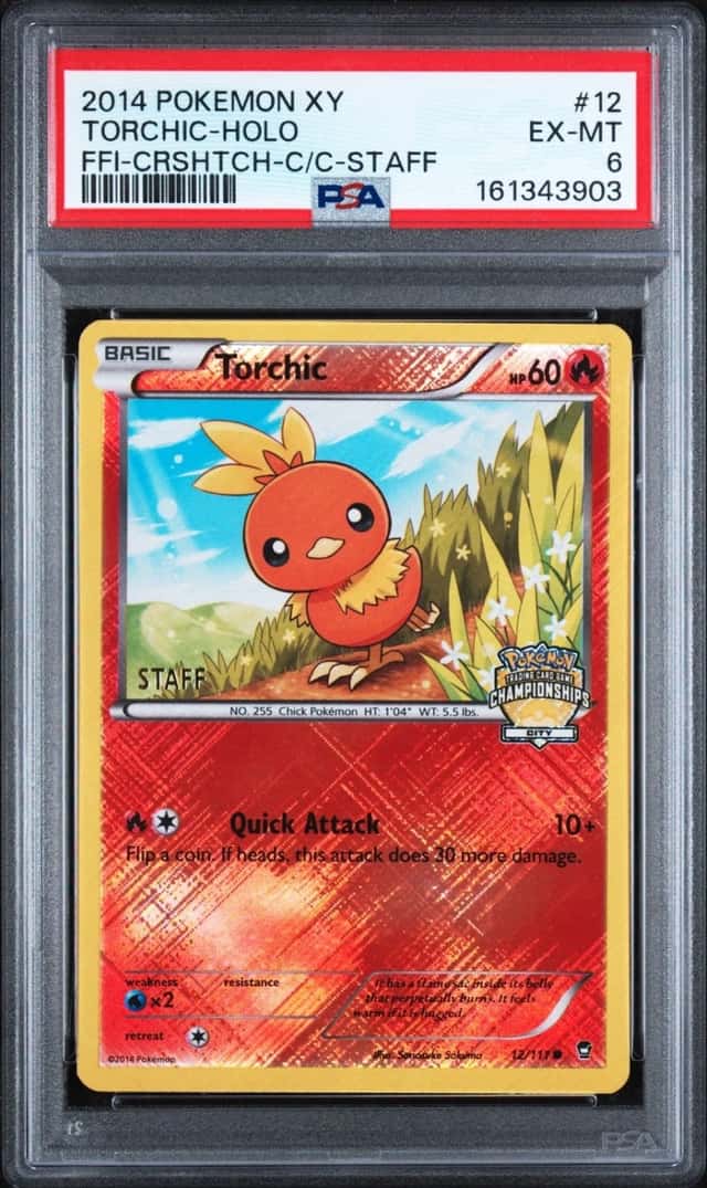 Torchic