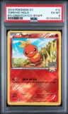 Torchic