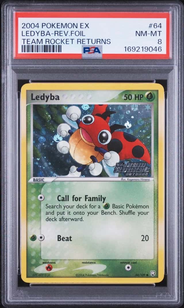 Ledyba