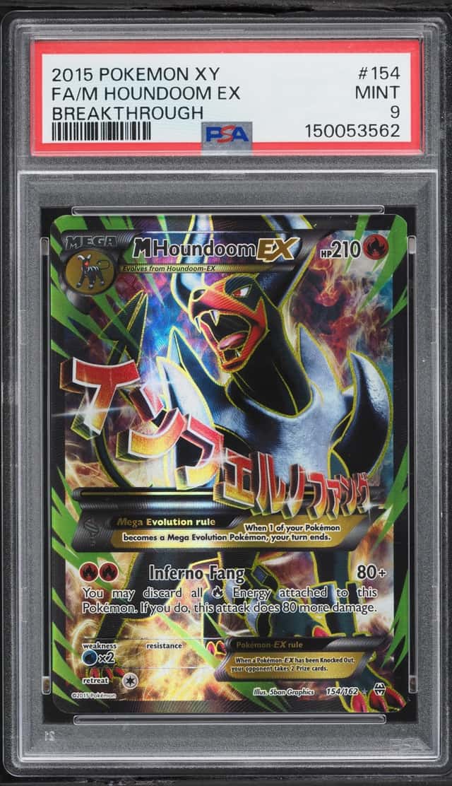 M Houndoom EX