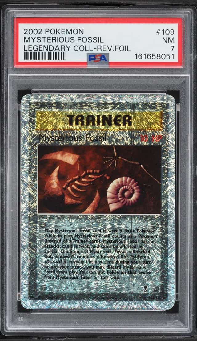 Mysterious Fossil