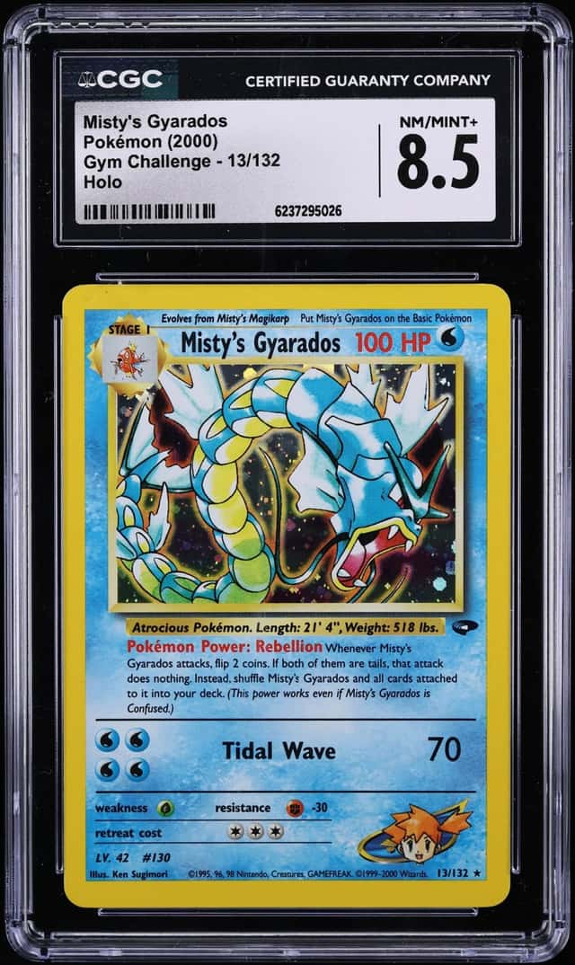 Misty's Gyarados