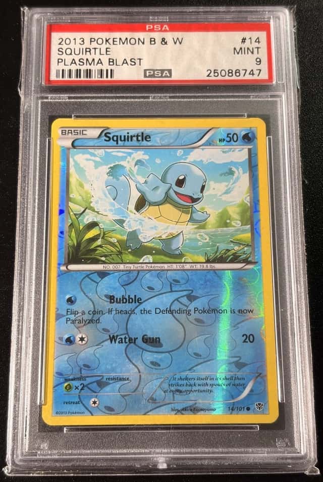 Squirtle