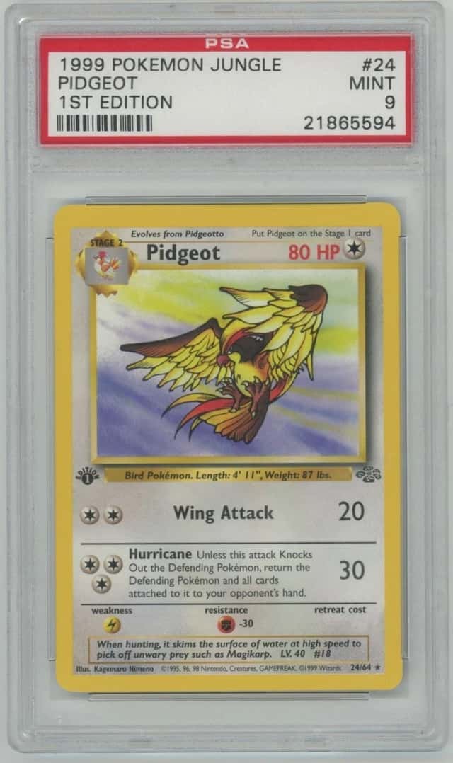Pidgeot