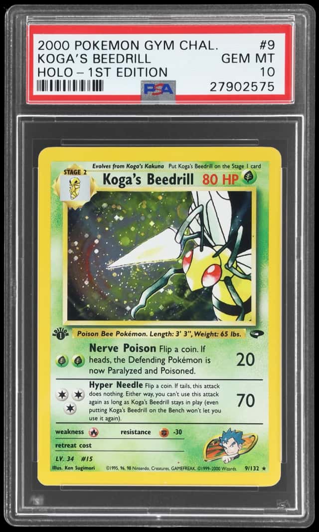 Koga's Beedrill