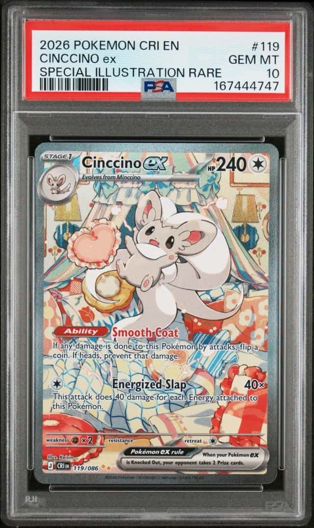 CINCCINO ex