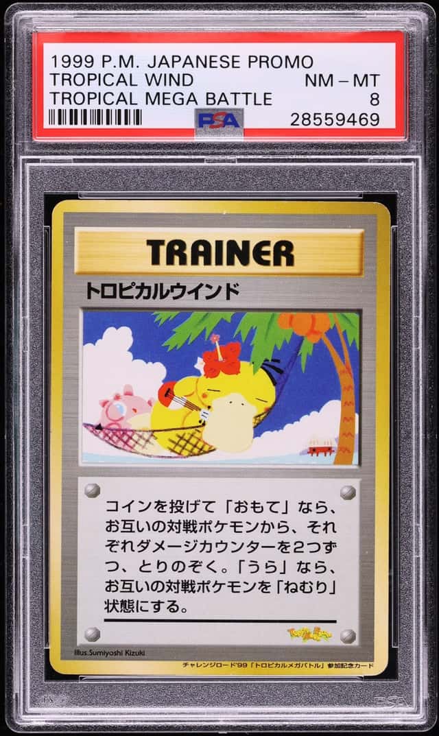 Tropical Wind