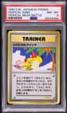 Tropical Wind