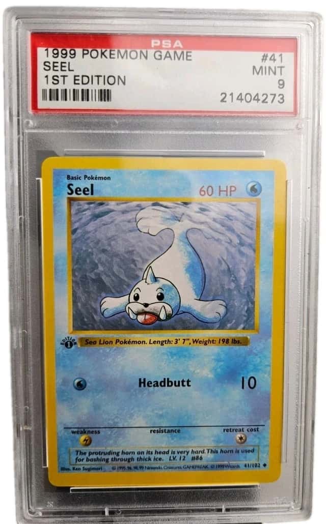 Seel