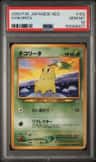 Chikorita