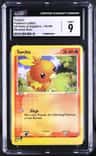 Torchic
