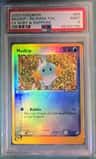 Mudkip