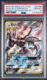 Pikachu & Zekrom Gx