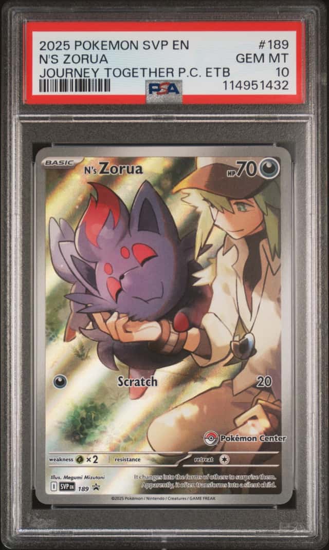 N's Zorua