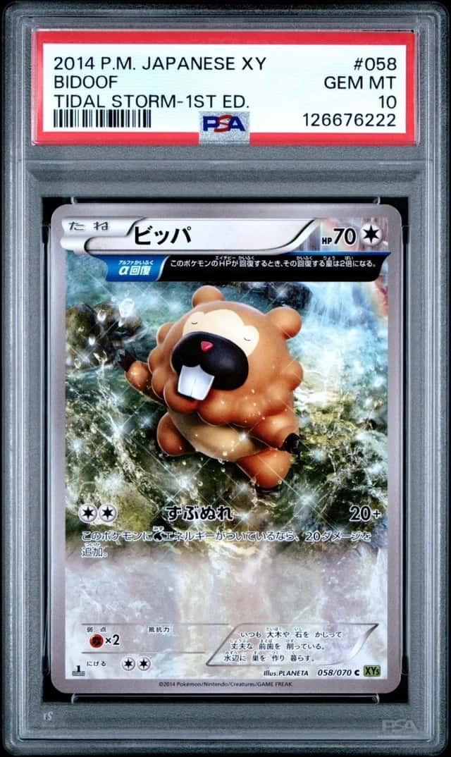 Pokemon Bidoof Tidal Storm 058/070 1st Edition Japanese PSA 10 Gem Mint