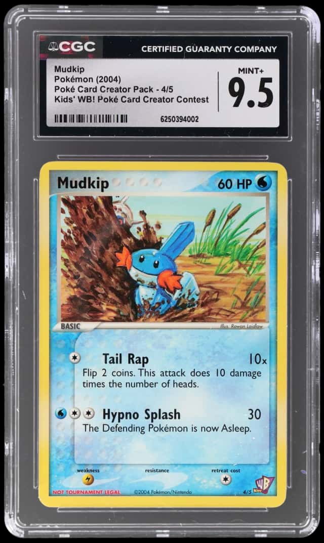 Mudkip