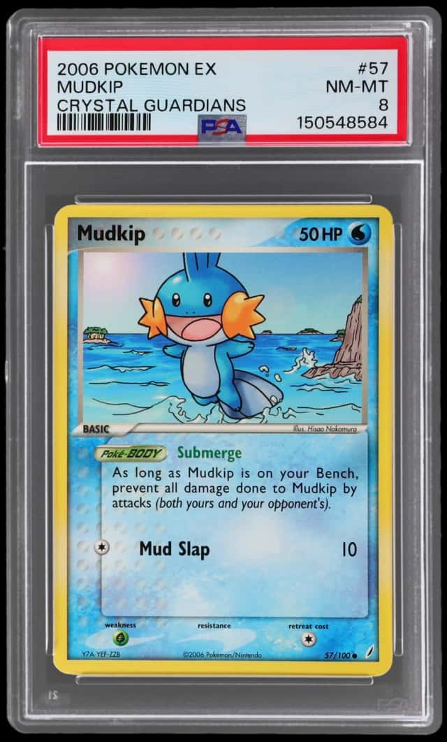 Mudkip