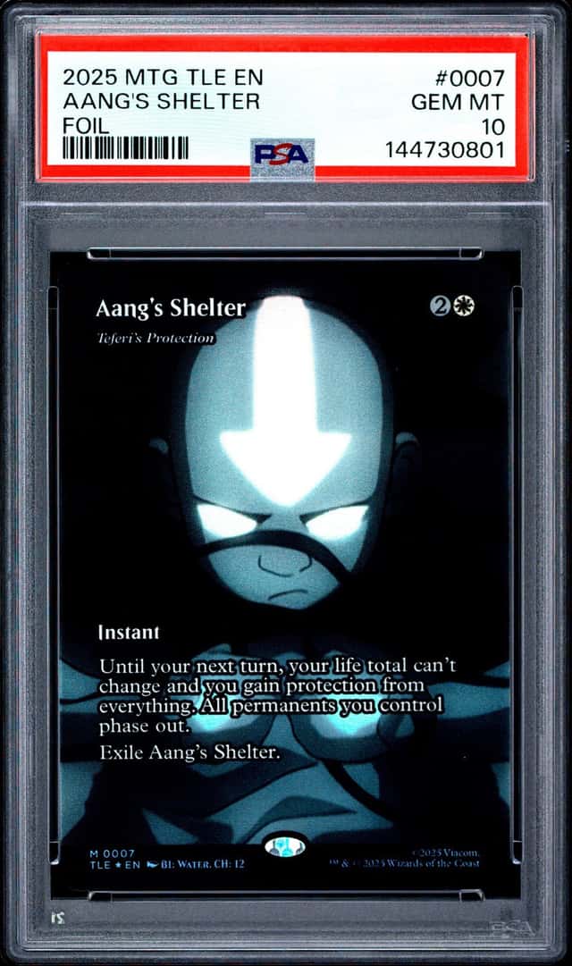 Aang's Shelter