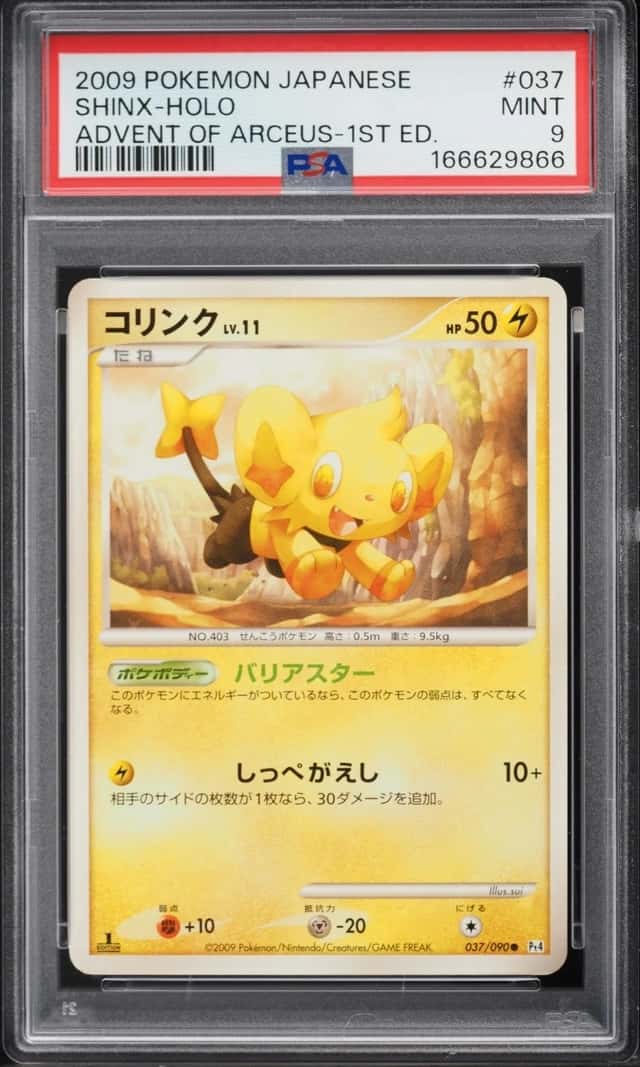 Shinx