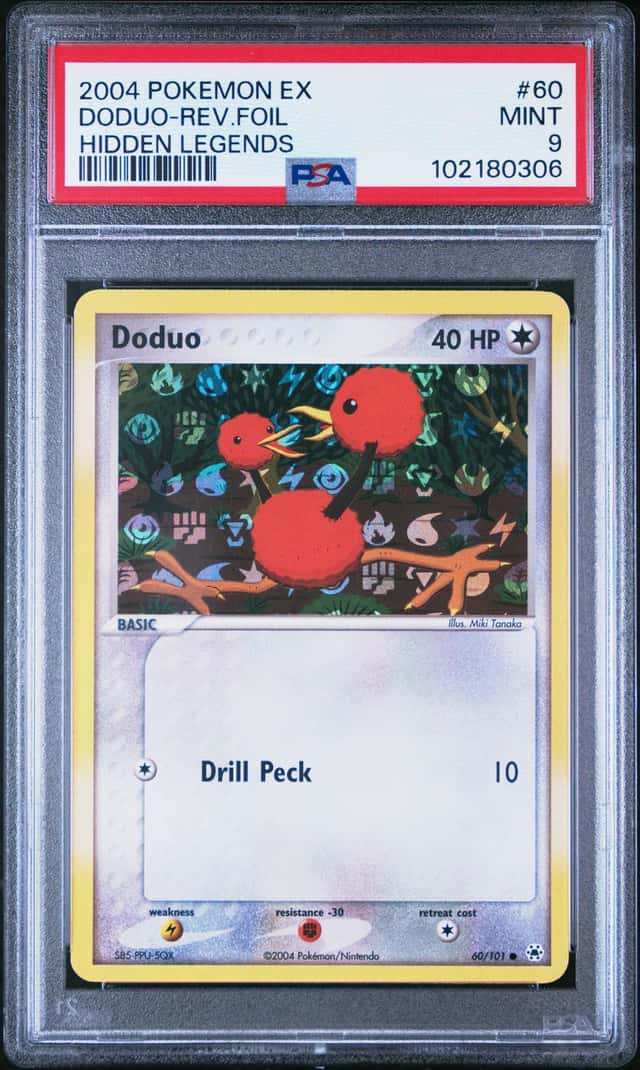 Doduo