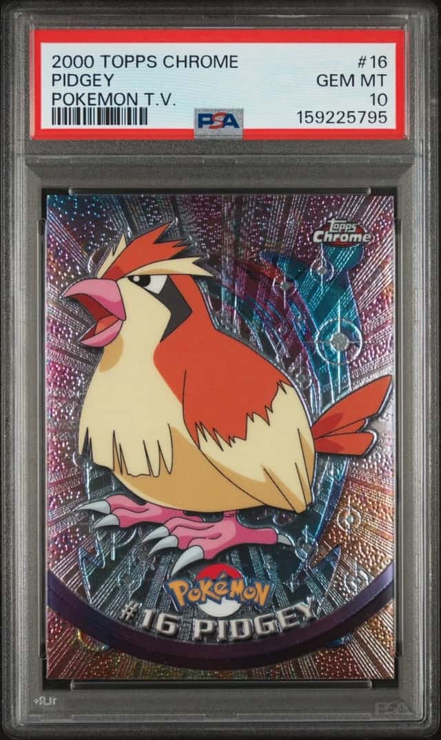 Pidgey