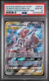 Mewtwo & Mew Gx
