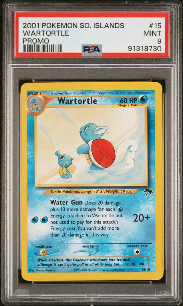 Wartortle