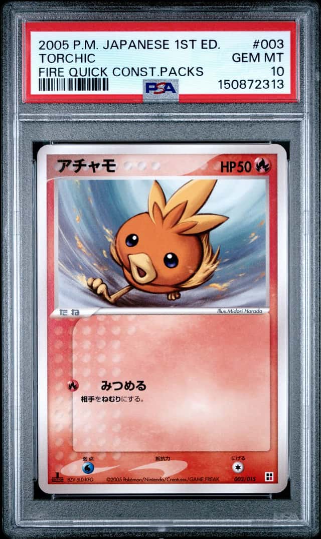 Torchic