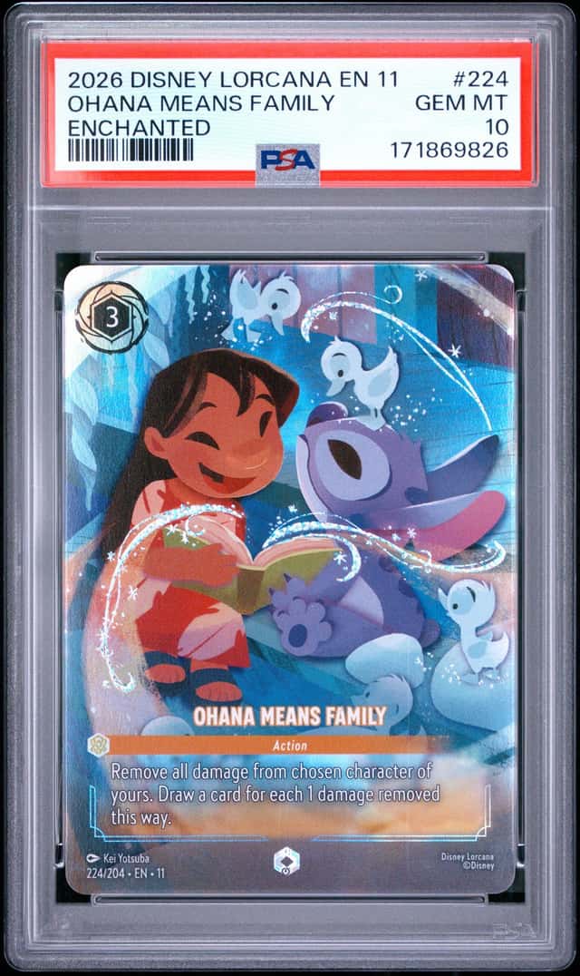 Ohana Means Family