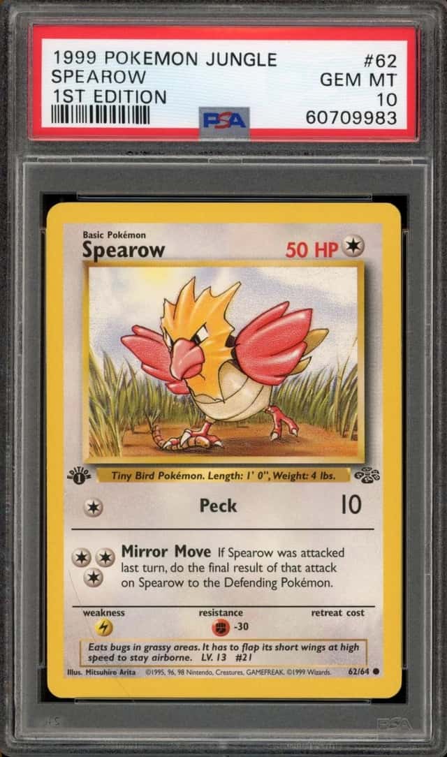 Spearow