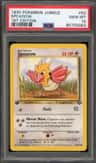 Spearow