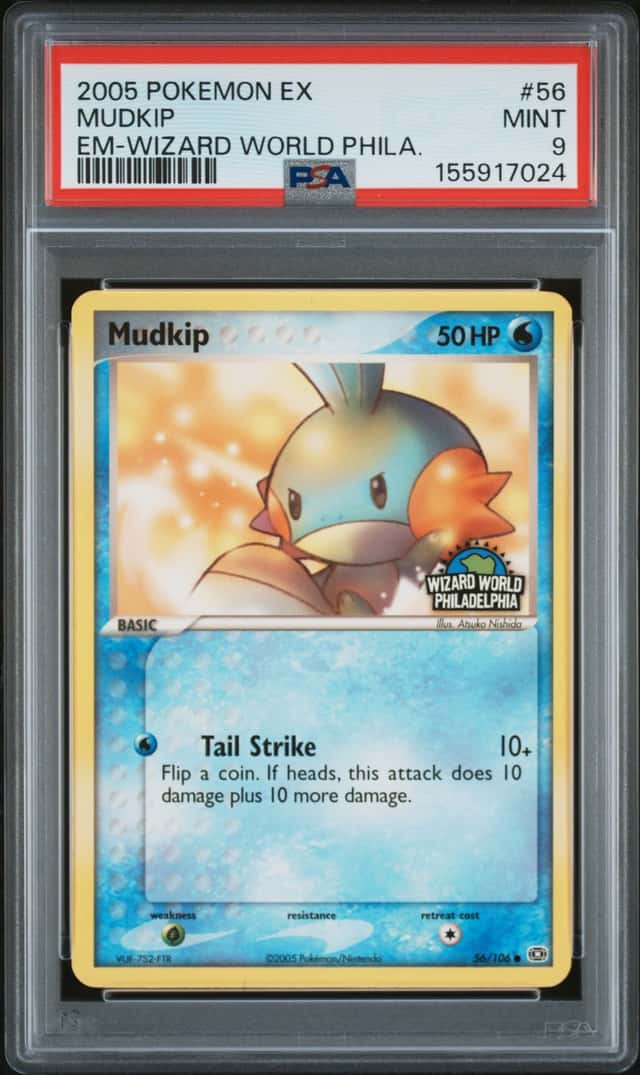 Mudkip