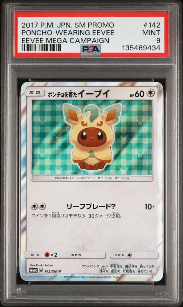 Poncho-Wearing Eevee