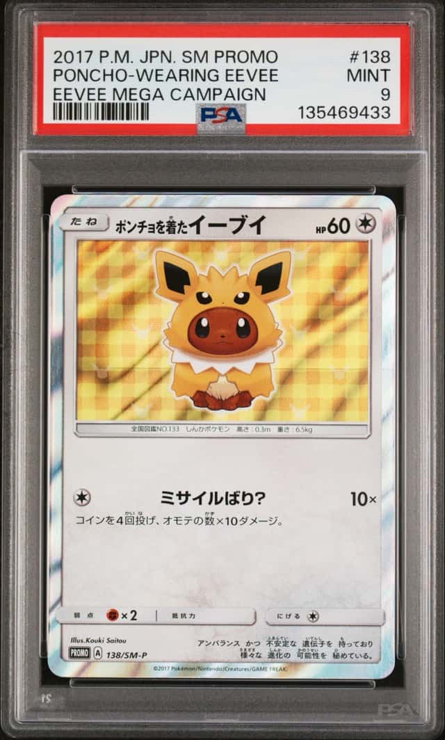 Poncho-wearing Eevee