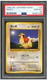 Pidgey
