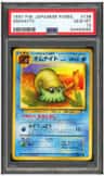 Omanyte