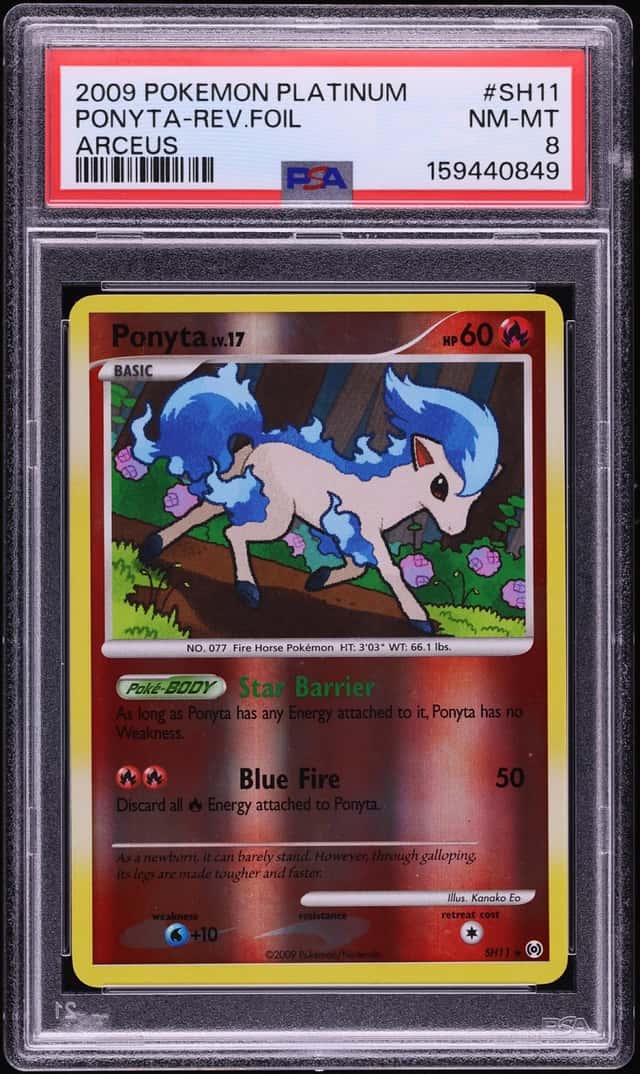 Ponyta