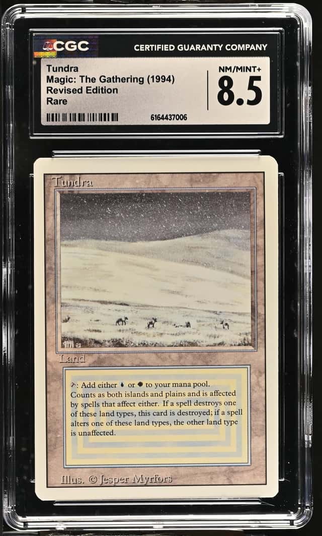 Tundra
