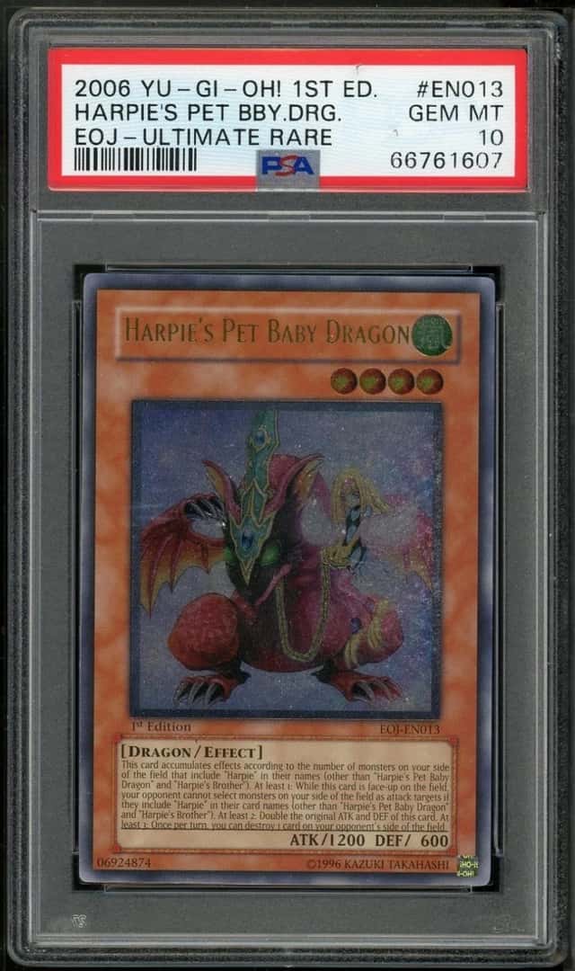 Harpie's Pet Baby Dragon