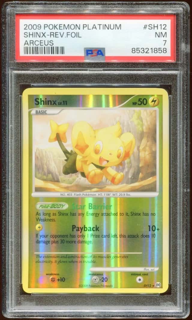 Shinx