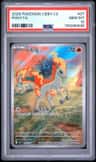 Ponyta